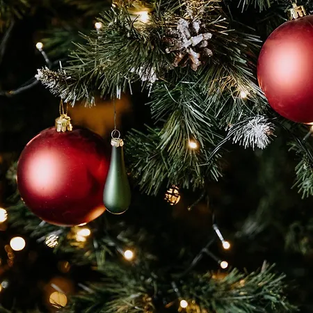 Osrodek Wypoczynkowy Molanda Biały Dunajec