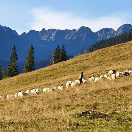 Osrodek Wypoczynkowy Molanda 3*